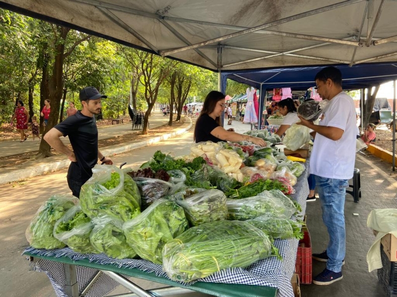 Evento feira-da-familia