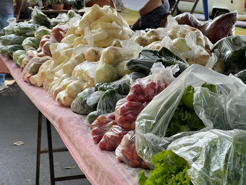 Evento feira-da-familia