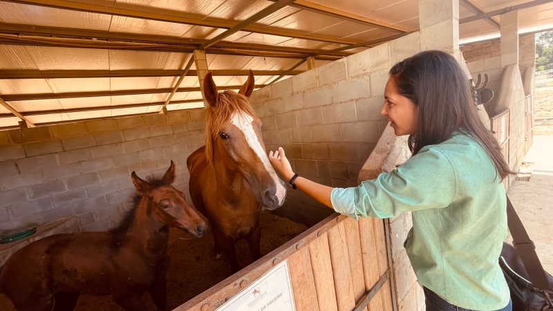 Turismo tedi-horse-centro-hipico-de-sinop